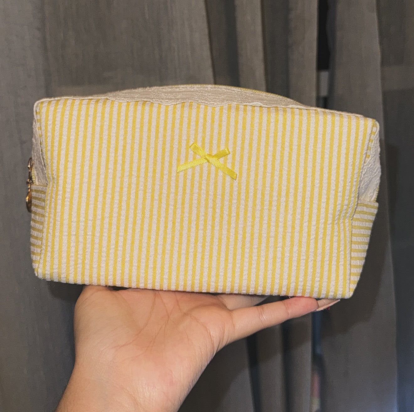dreaming lion cosmetic/toiletry bag